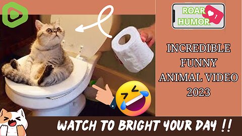 INCREDIBLE FUNNY ANIMAL VIDEO 2023