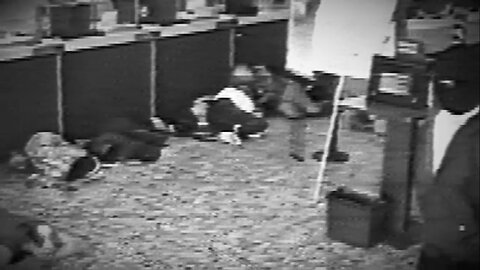 Epic Bank Heist Fails Spectacularly in Fatal Shootout | Must-Watch Short Documentary!