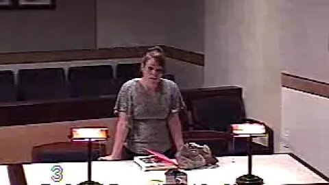 Zamora matter before Clark County Family Court Judge Mathew Harter 7/26/17