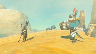 Breath of the Wild Master Mode 178