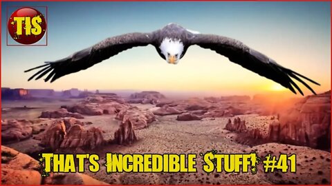 That's Incredible Compilation #41 People, Places & Nature #ExtremeSports #viral #trending #shorts