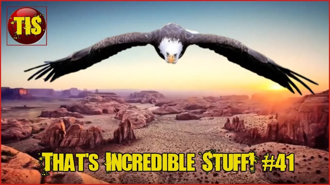 That's Incredible Compilation #41 People, Places & Nature #ExtremeSports #viral #trending #shorts