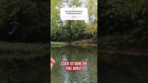 🎣🎣 It’s NOT a Rock! - #fishing #smallmouthbassfishing