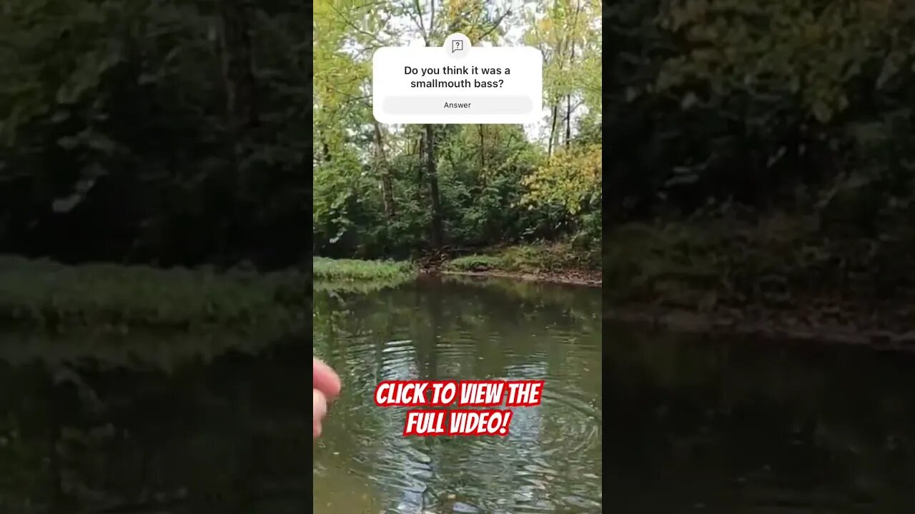 🎣🎣 It’s NOT a Rock! - #fishing #smallmouthbassfishing