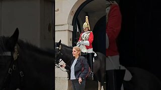 Your not holding the Reins #horseguardsparade