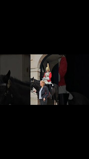 Your not holding the Reins #horseguardsparade