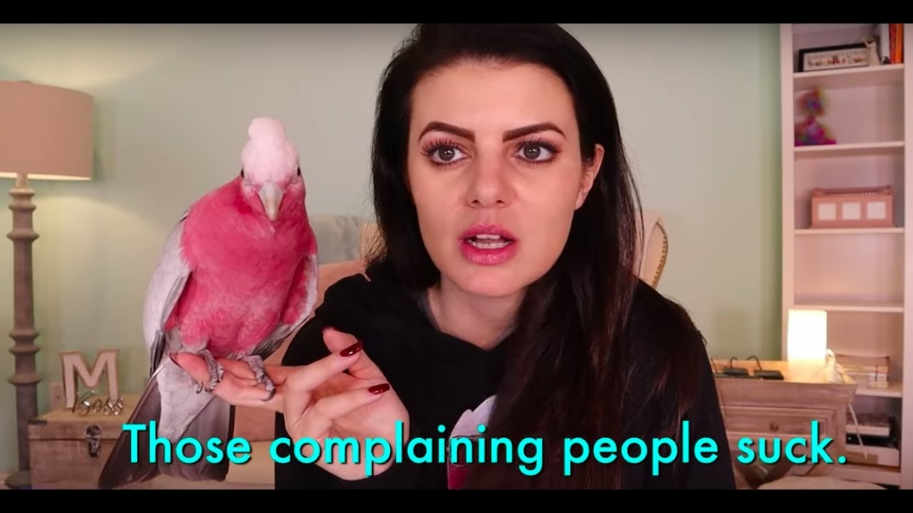 TOP 5 | MY PARROT VINNY TALKS WITH SUBTITLES, (Talking Bird Compilation)