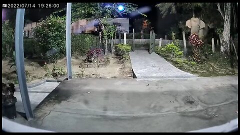 Man gets attacked by wild elephant caught on cctv