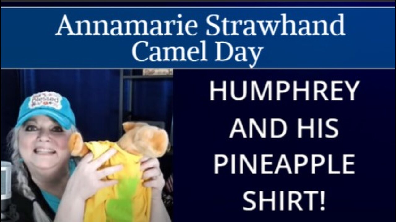 Humphrey and His Pineapple Shirt!