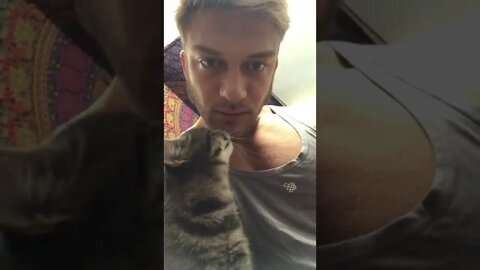 Why do cats always have to sniff everything