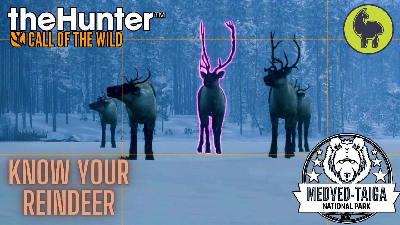 Know your Reindeer, Medved Taiga | theHunter: Call of the Wild (PS5 4K)
