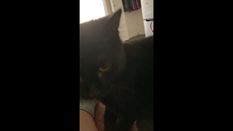 Blackjack so soft!