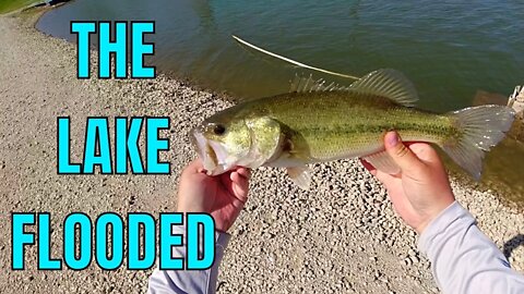 Finding Bass After a MASSIVE Flood