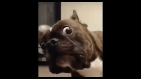 be like You filming me