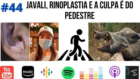 #44 JAVALI, RINOPLASTIA E A CULPA É DO PEDESTRE!
