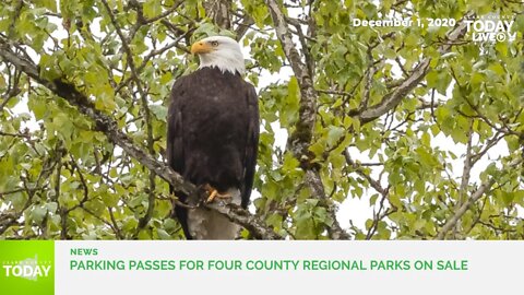 Parking passes for four county regional parks on sale