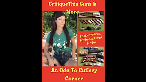 CritiqueThis Guns & More: Collector Knife Edition - Pocket Folder Fixed Blades
