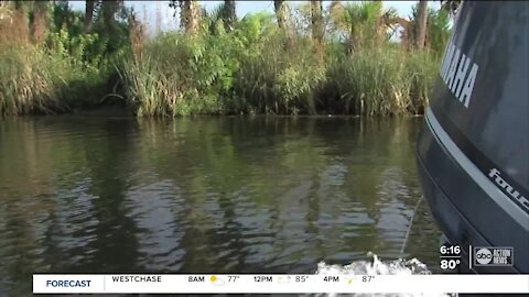 Marine biologists helping save Crystal River