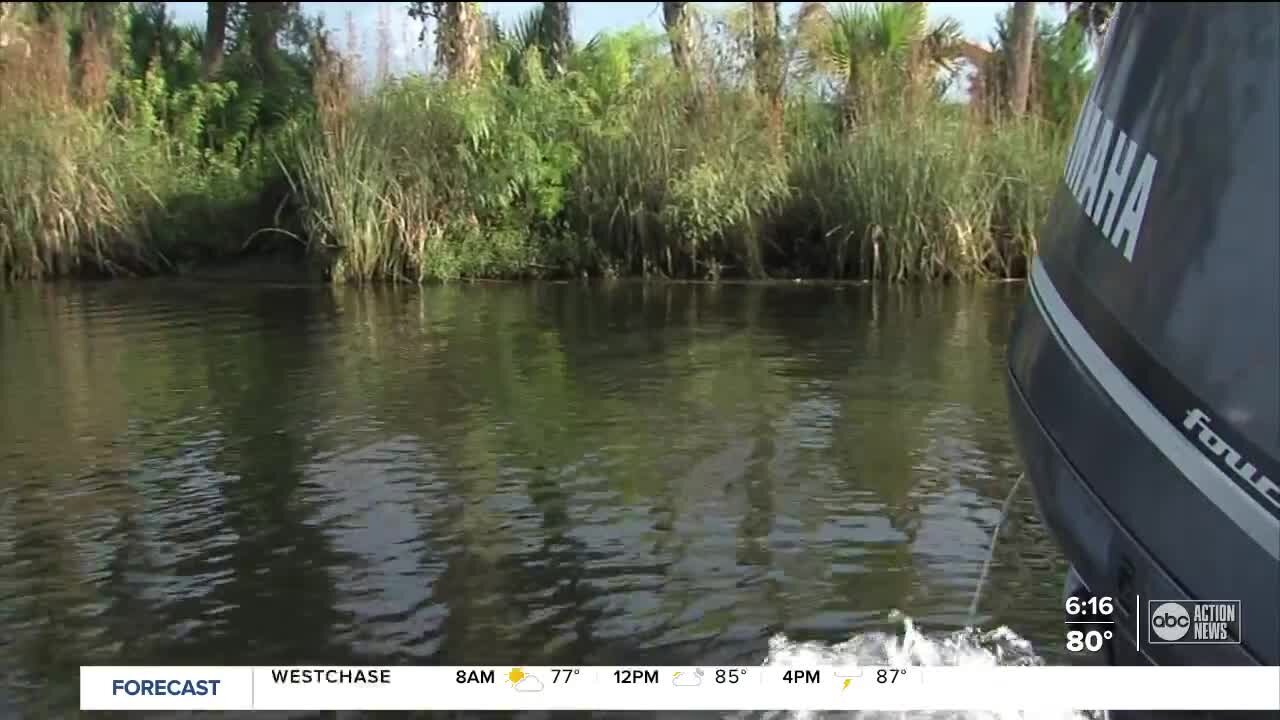 Marine biologists helping save Crystal River