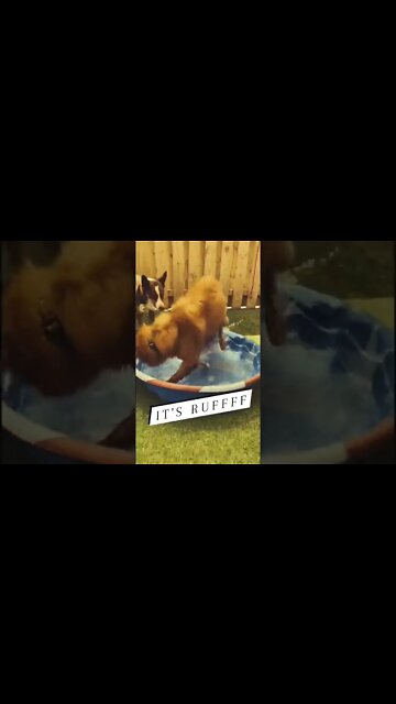 it's all good. Even when it's "ruffff" it isn't that bad!!!