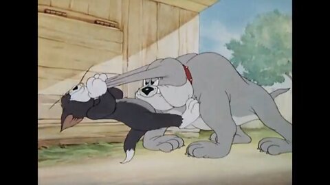 Tom and Jerry: Tom Fights Dog