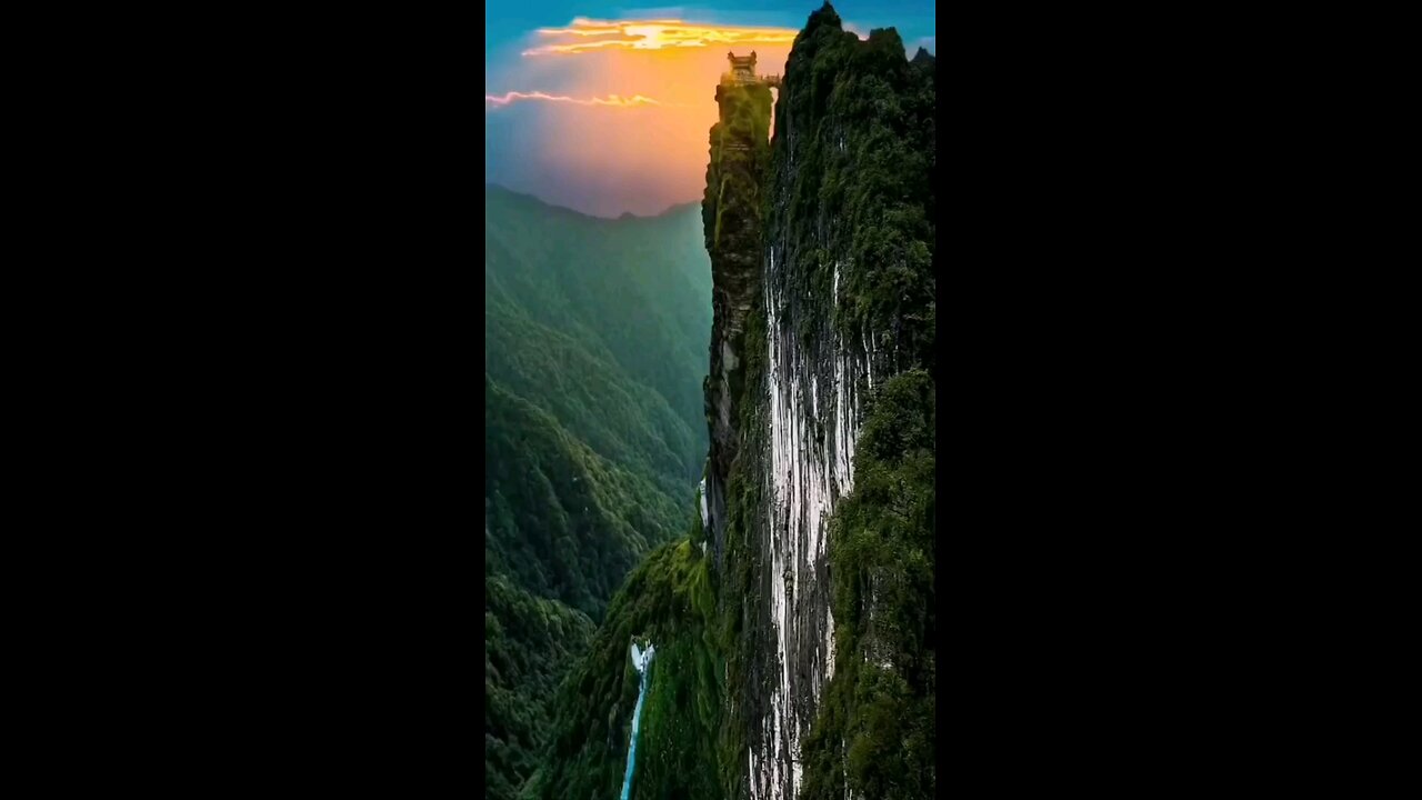 Amazing Nature