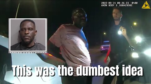 Dealers worst nightmare during traffic stop