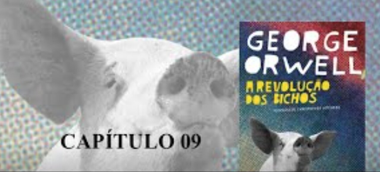 A REVOLUÇÃO DOS BICHOS DE GEORGE ORWELL - CAPÍTULO 9