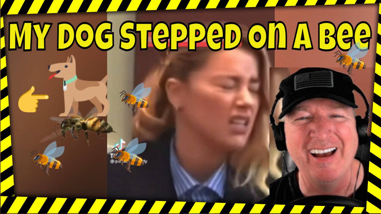 My Dog Stepped on a Bee Reaction - Johnny Depp Amber Heard Trial - TikTok Reactions - Funny