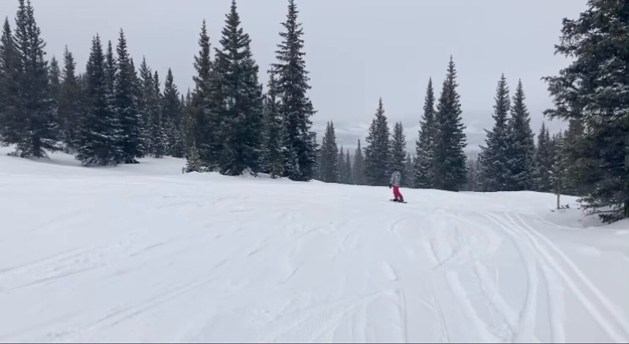 Colorado Greens