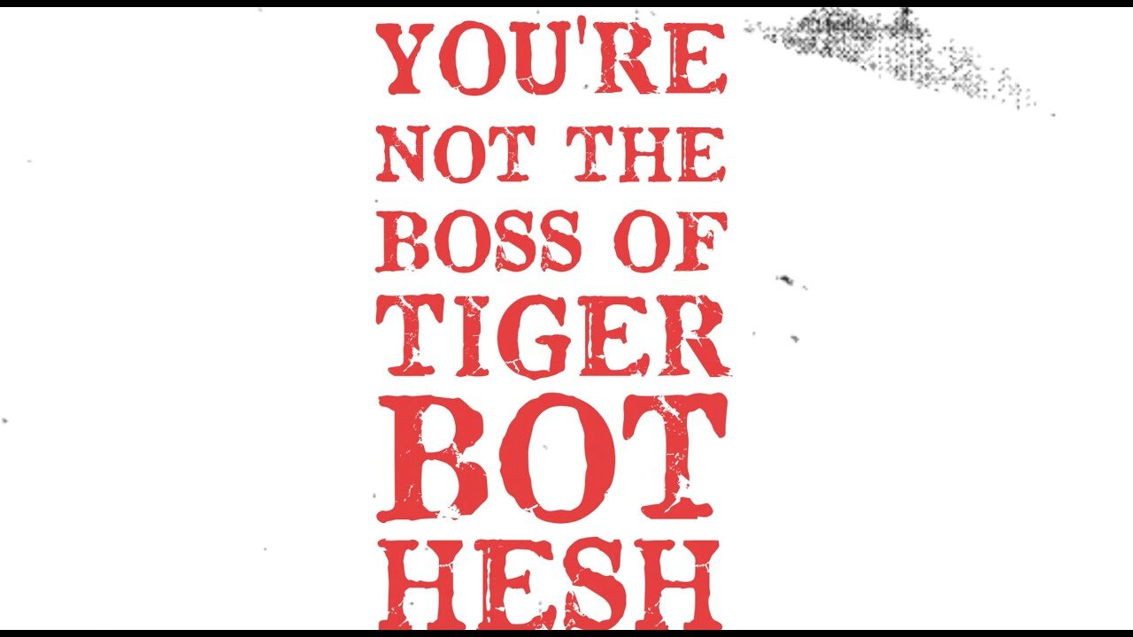 You're not The Boss of Tiger Bot Hesh - Lyric Video - Backstabberpunk