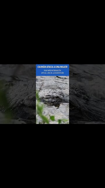 Juez bloquea a admin Biden por censura; Persiguen a camión con inmigrantes ilegales NTD Día [5 jul]