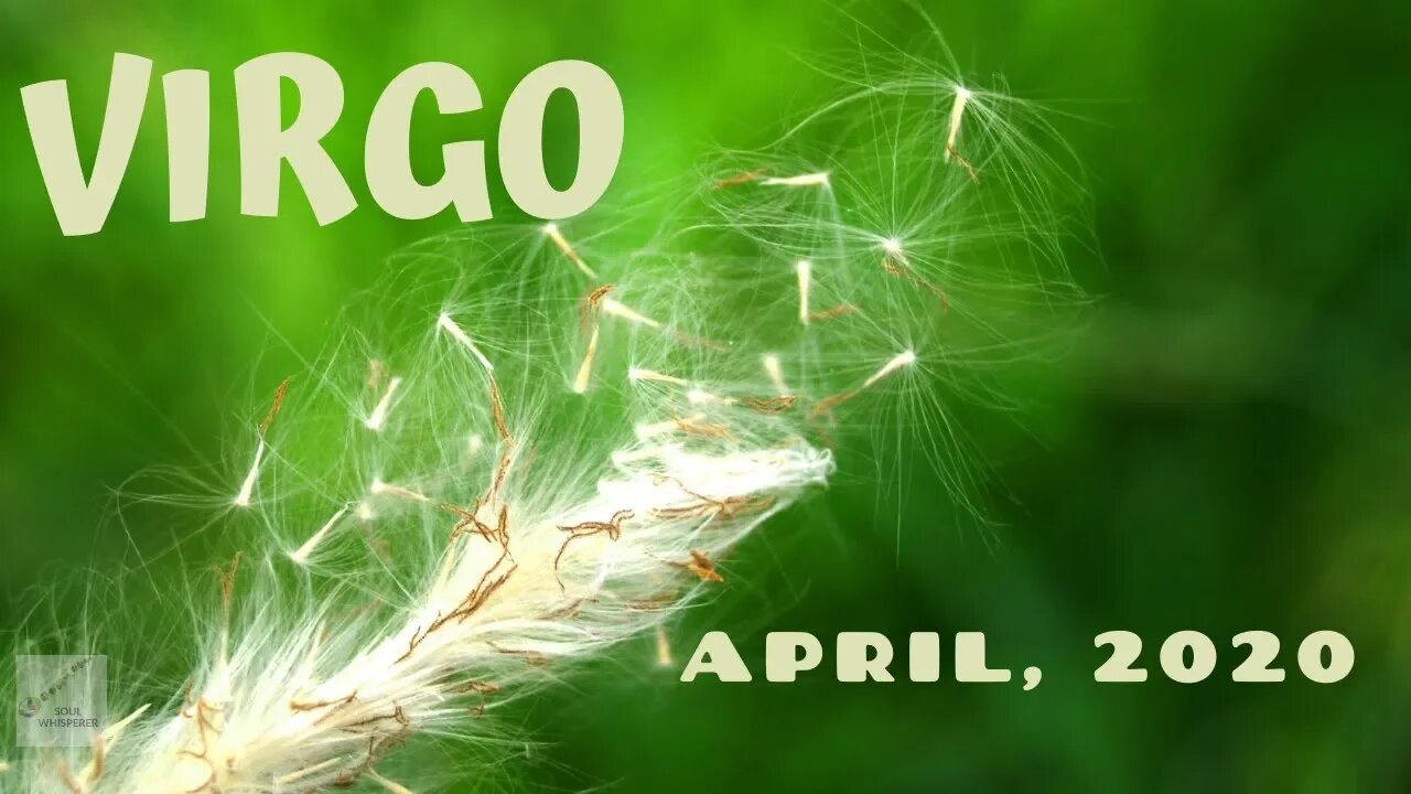 ♍ VIRGO ♍: You Are Being Blessed * April 2020