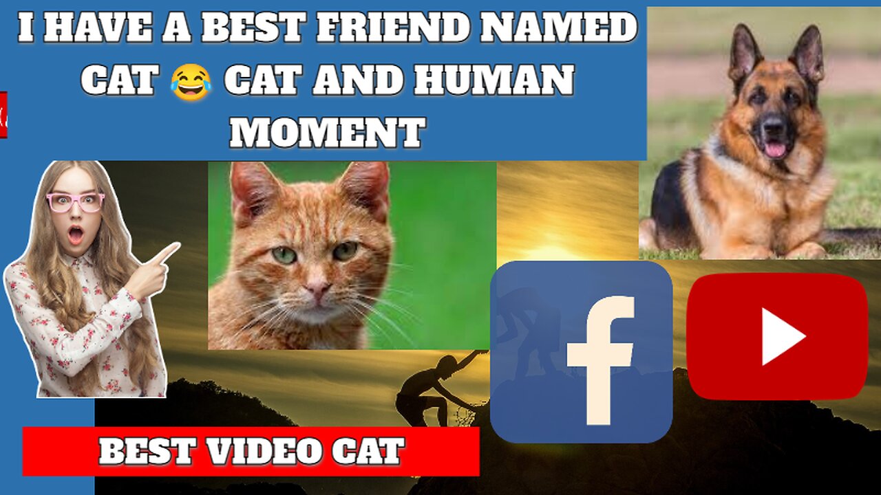 I have a best friend named Cat 😂 Cat and Human Moment