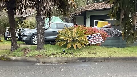 Yes! Sago palms can survive unprotected in Oregon.