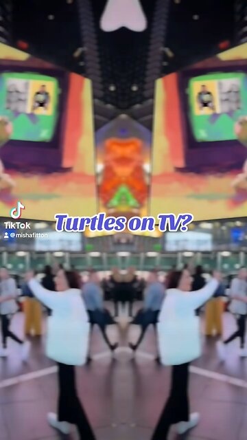 Turtles on TV? Good Morning X