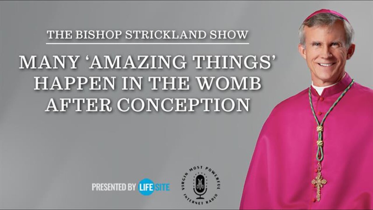 Many 'amazing things' happen in the womb after conception: pro-life US bishop