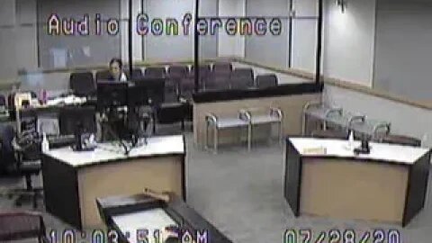 Zaheri and Williams before the Clark County Child Support Court 7/28/20