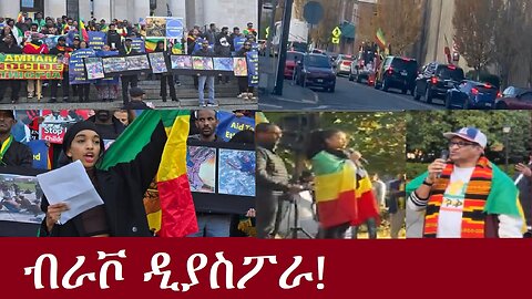 ብራቮ ዲያስፖራ! DereNews Nov 9,2024