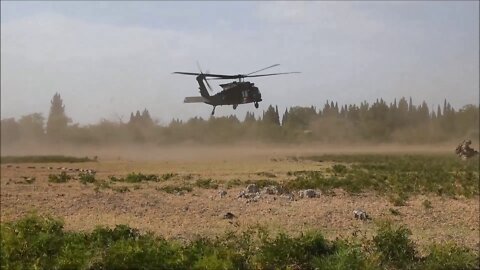 Casualty Evacuation Exercise - Noble Partner 22