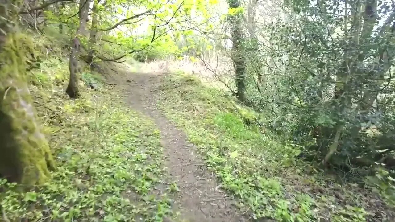 Whats up here lets walk