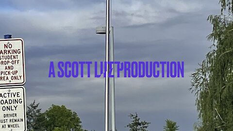 The NIV bible reading: Leviticus 19:1-37 and Acts 19:1-41