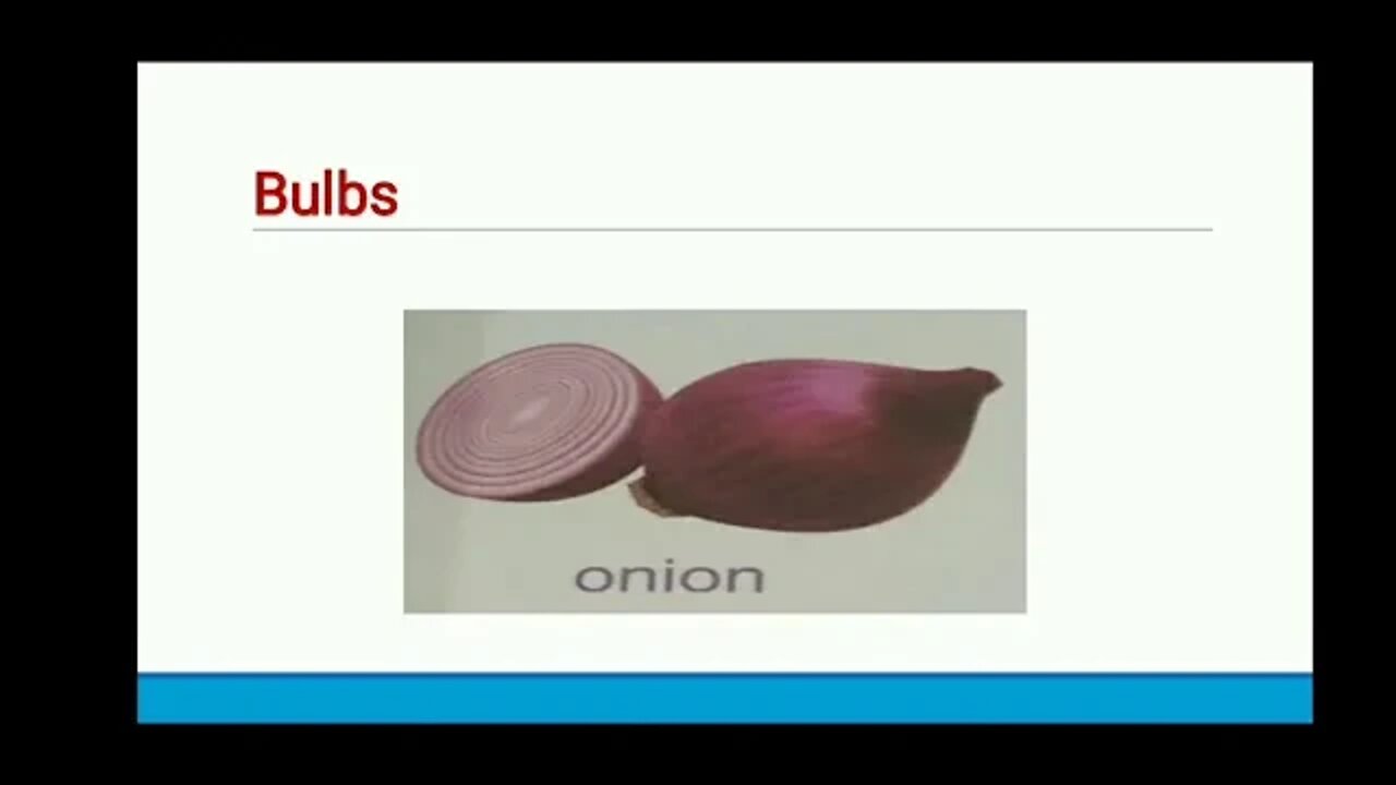 Class III Science UNIT 5 PART 2