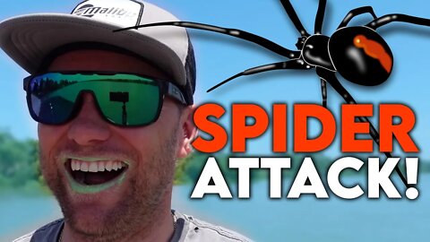 CHRISTMAS SPIDER ATTACK! (JP Vlog)