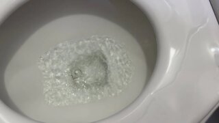 Flushing Sound, Toilet Flushing