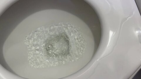 Flushing Sound, Toilet Flushing