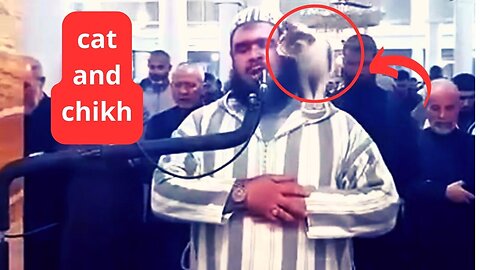 cat jumps on imam
