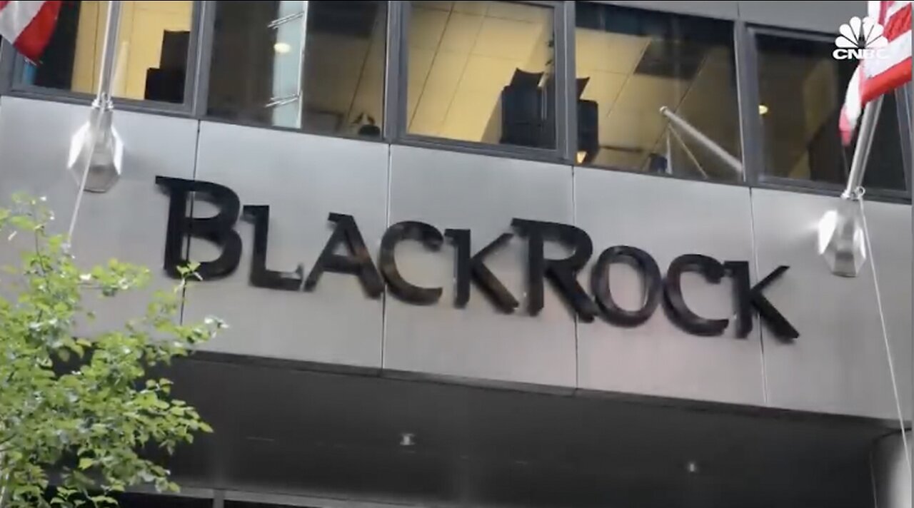 "They Own Everything" - BlackRock, The Most Powerful Company in the world