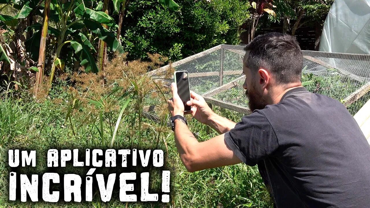 Descubra o nome de QUALQUER planta! - Chácara SV