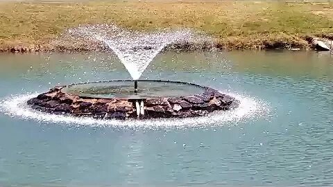 April trip to the lake